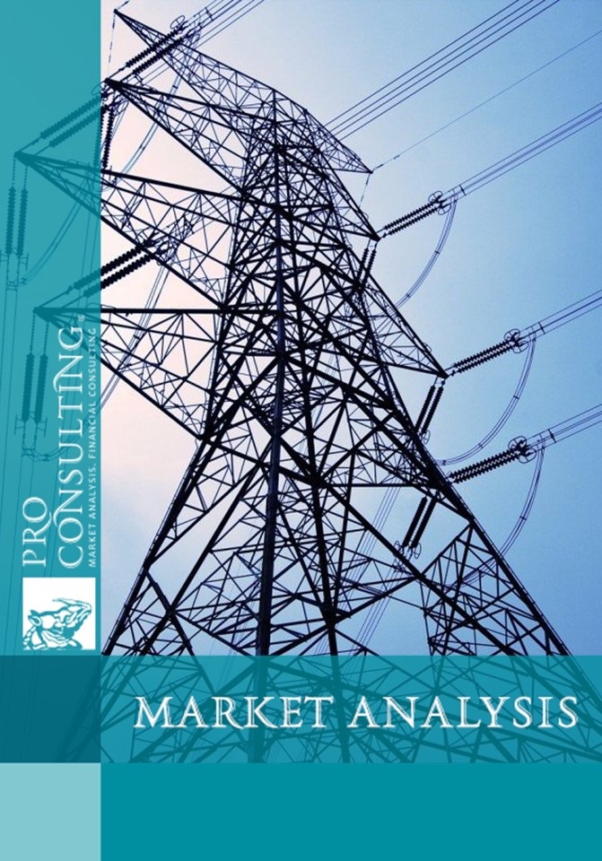 Market research of the electricity market of Ukraine. 2008